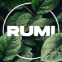 RumiServices